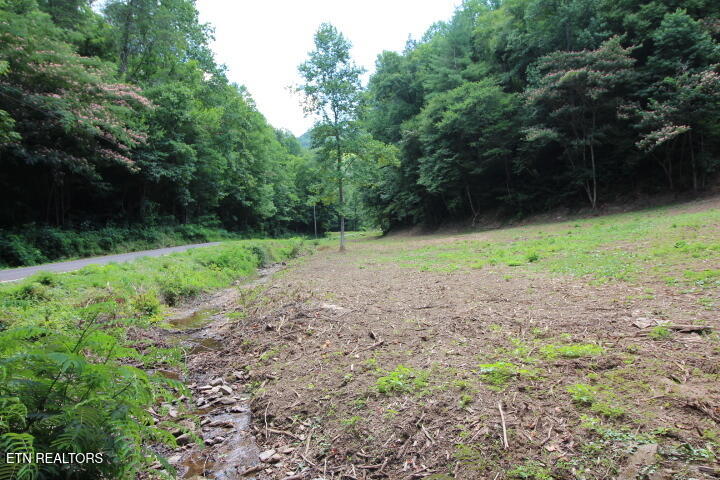 1970 Carrs Creek Road Townsend, TN 37882 - Photo 19 of 59 1970 Carrs Creek 002