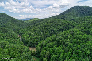1970 Carrs Creek Road Townsend, TN 37882 - Photo 22 of 59 20240719103502374804000000
