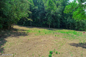 1970 Carrs Creek Road Townsend, TN 37882 - Photo 29 of 59 20240719105224447207000000