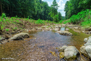 1970 Carrs Creek Road Townsend, TN 37882 - Photo 30 of 59 20240719105208130639000000
