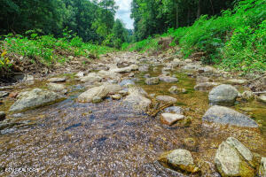 1970 Carrs Creek Road Townsend, TN 37882 - Photo 31 of 59 20240719105153492712000000