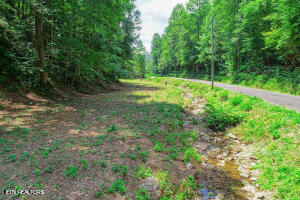 1970 Carrs Creek Road Townsend, TN 37882 - Photo 32 of 59 20240719105138529819000000