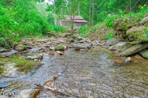 1970 Carrs Creek Road Townsend, TN 37882 - Photo 33 of 59 20240719105104021669000000