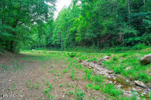 1970 Carrs Creek Road Townsend, TN 37882 - Photo 34 of 59 20240719105049647317000000