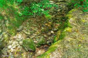 1970 Carrs Creek Road Townsend, TN 37882 - Photo 35 of 59 20240719104941460678000000