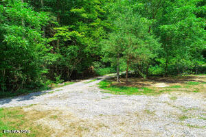 1970 Carrs Creek Road Townsend, TN 37882 - Photo 36 of 59 20240719104847035676000000