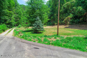 1970 Carrs Creek Road Townsend, TN 37882 - Photo 42 of 59 20240719104618033023000000