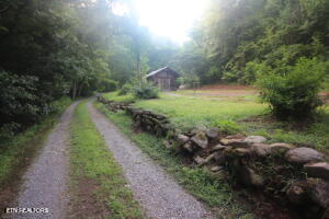 1970 Carrs Creek Road Townsend, TN 37882 - Photo 46 of 59 20240718125348471985000000