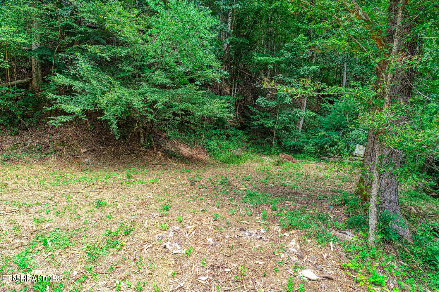 1970 Carrs Creek Road Townsend, TN 37882 - Photo 49 of 59 1970 Carrs Creek MLSb (63 of 63)