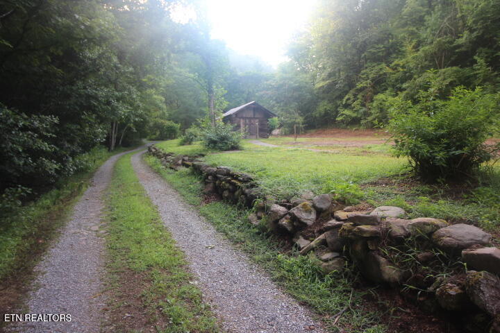 1970 Carrs Creek Road Townsend, TN 37882 - Photo 5 of 59 Carrs Creek Update cleaned 016