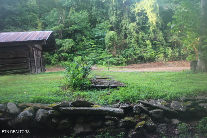1970 Carrs Creek Road Townsend, TN 37882 - Photo 7 of 59 Carrs Creek Update cleaned 010