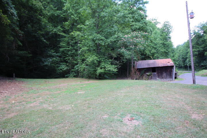 1970 Carrs Creek Road Townsend, TN 37882 - Photo 8 of 59 1970 Carrs Creek 018