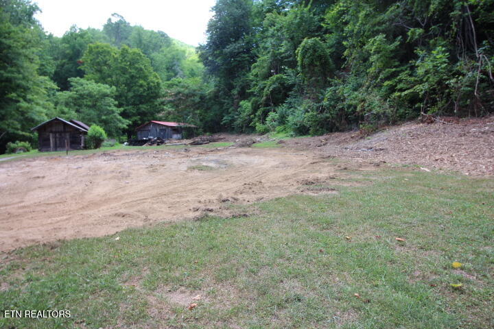 1970 Carrs Creek Road Townsend, TN 37882 - Photo 10 of 59 1970 Carrs Creek 020