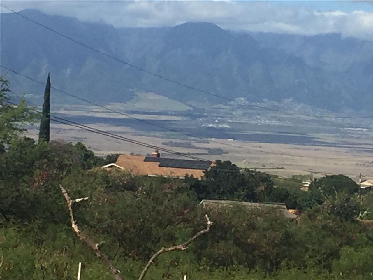 2750 Omaopio Road Kula, HI 96790 - Photo 2 of 3 a view of a yard