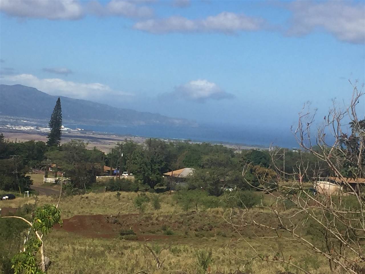 2750 Omaopio Road Kula, HI 96790 - Photo 3 of 3 a view of a yard