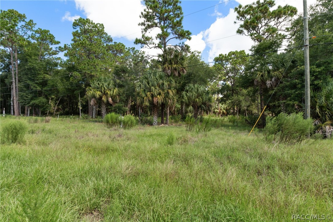 13707 West Foss Grove Path Inglis, FL 34449 - Photo 6 of 20 Gallery Image 6