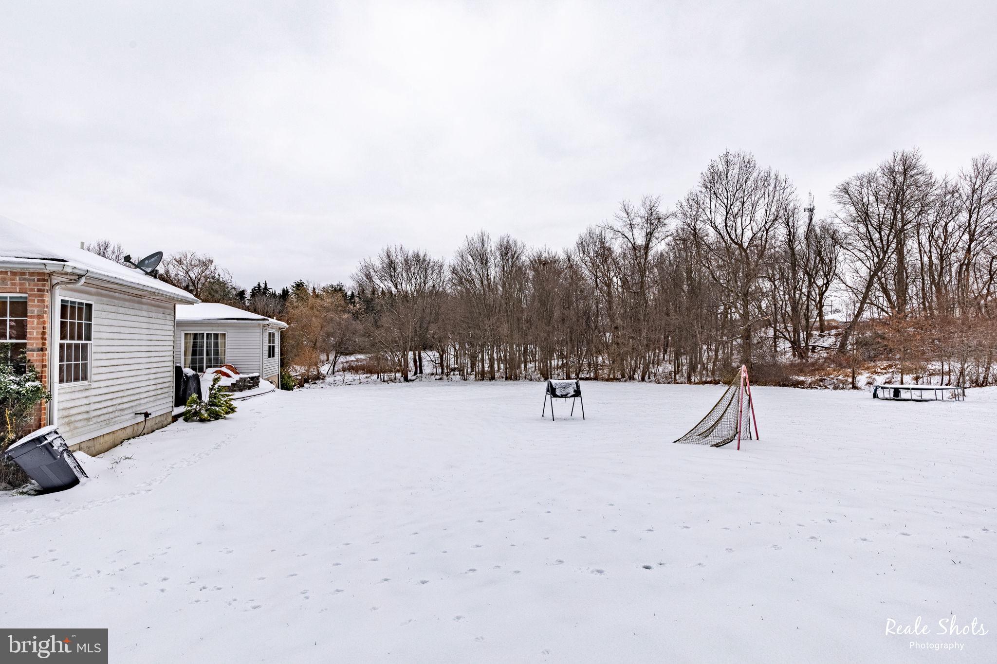 14217 Robcaste Road Phoenix, MD 21131 - Photo 48 of 54 Backyard