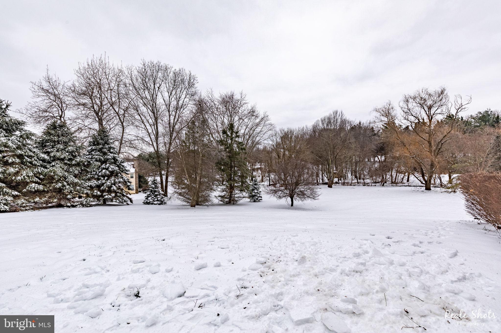 14217 Robcaste Road Phoenix, MD 21131 - Photo 51 of 54 Backyard