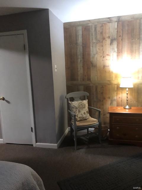 5118 Heege Road Affton, MO 63123 - Photo 31 of 35 Gallery Image 31