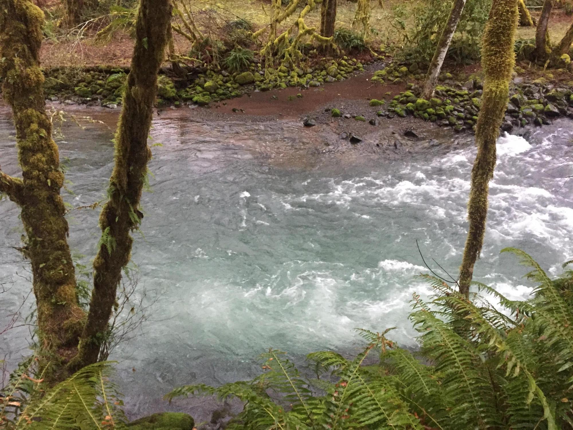 27517 Trask River Road Tillamook, OR 97141 - Photo 8 of 28 "Dead Mans Hole"