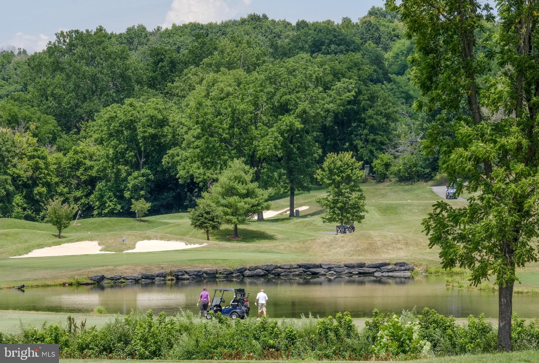 11 Driver Square Front Royal, VA 22630 - Photo 52 of 70 Blue Ridge Shadows Golf Course