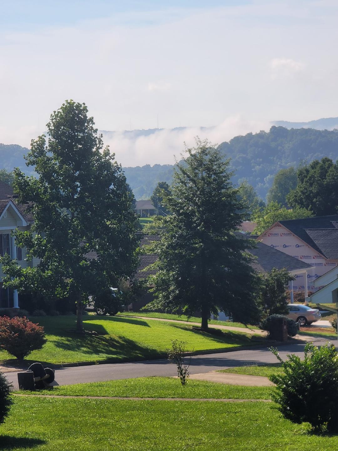 167 Fox Ridge Drive Mount Carmel, TN 37645 - Photo 6 of 20 167 Fox Ridge