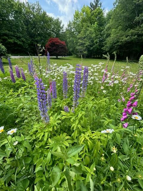 15 Harbor Road Bryant Pond, ME 04219 - Photo 43 of 56 IMG_9731