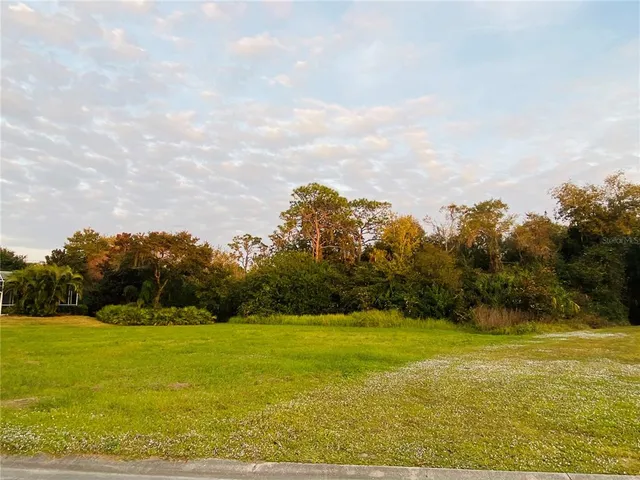 a view of yard with ocean