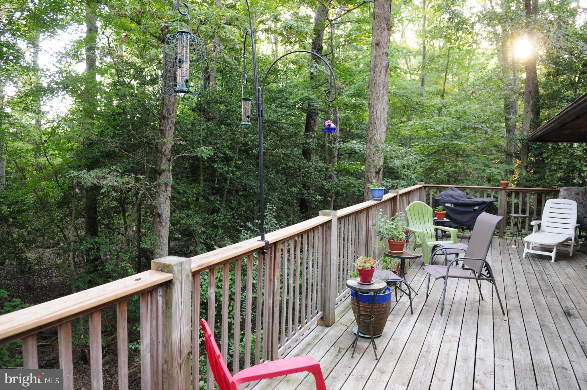 1385 East West Shady Side Road Shady Side, MD 20764 - Photo 33 of 38 Gallery Image 33