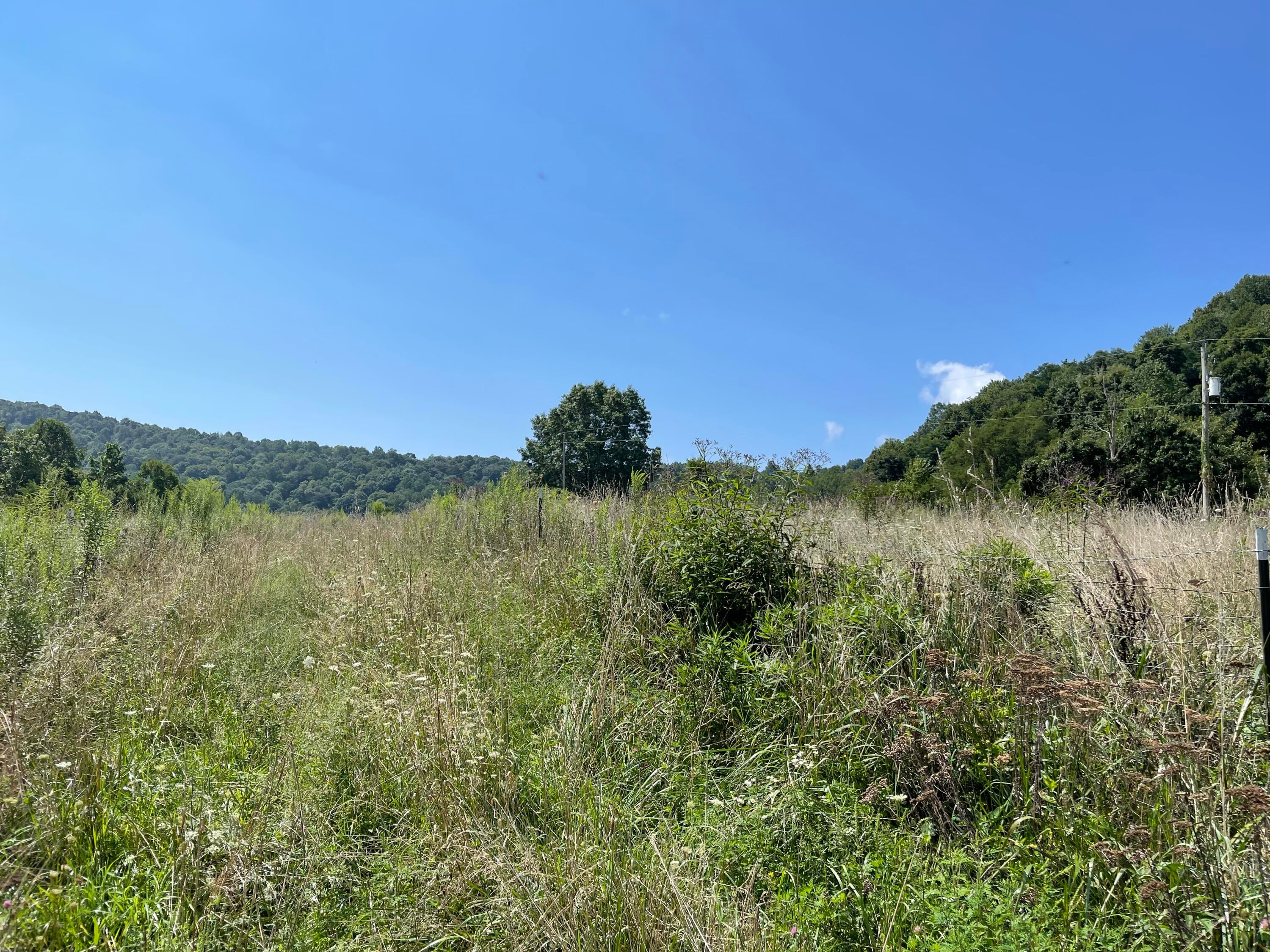 Ward Bench Road Sandstone, WV 25985 - Photo 41 of 92 Gallery Image 41
