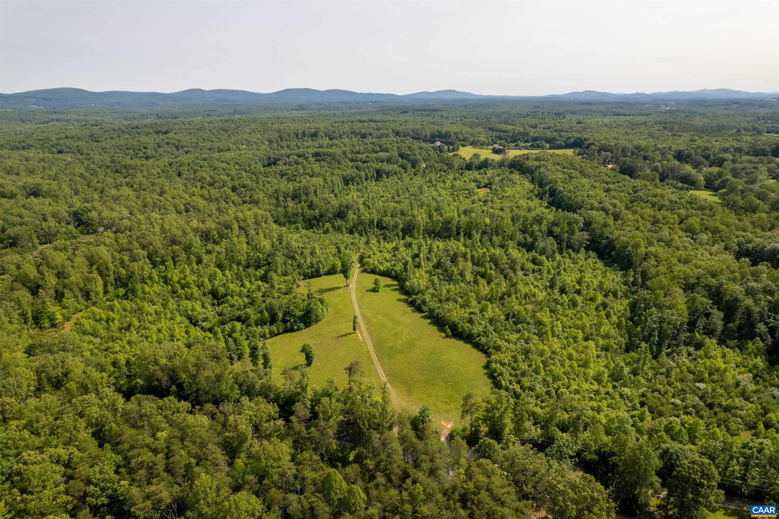 a view of a lush green forest with a house