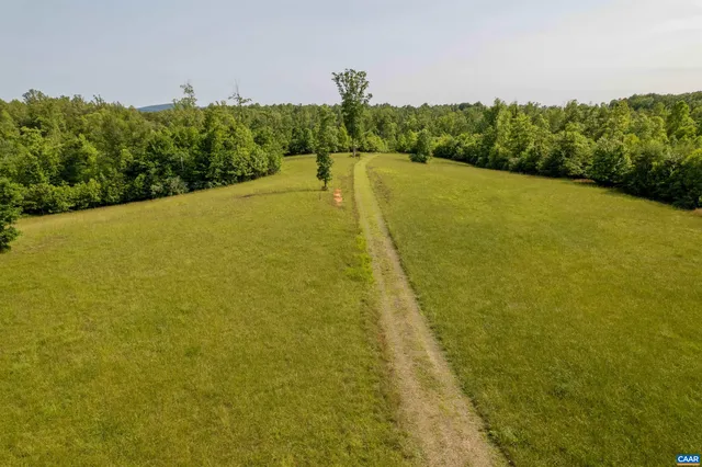 a view of a large yard with plants and large trees