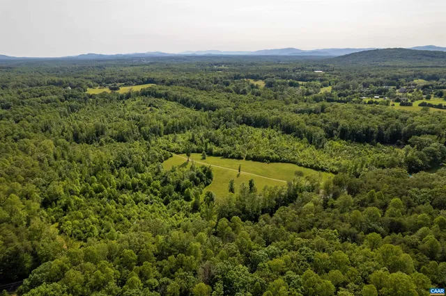 a view of a lush green field with lots of bushes