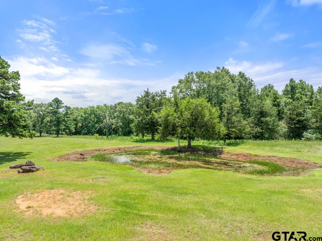 5353 County Road 385 Tyler, TX 75708 - Photo 12 of 28 a view of a golf course with a lake