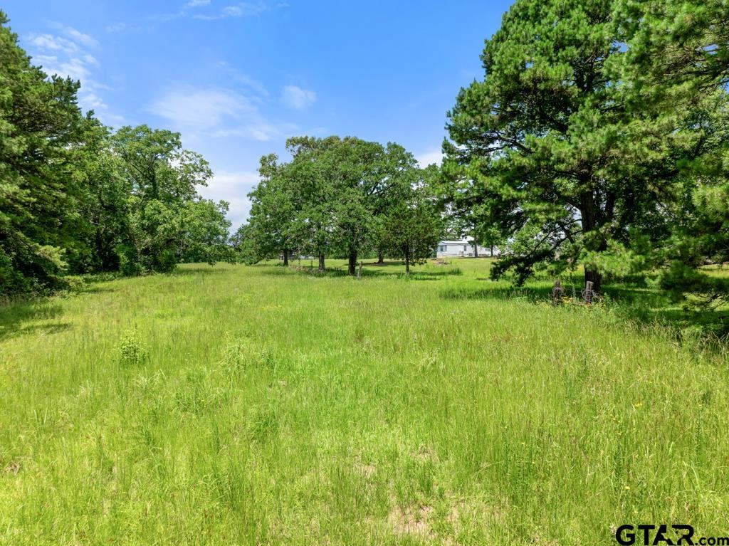 5353 County Road 385 Tyler, TX 75708 - Photo 16 of 28 a view of a green field with trees in the background