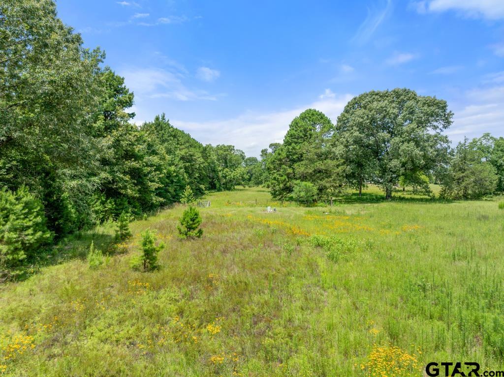 5353 County Road 385 Tyler, TX 75708 - Photo 17 of 28 a backyard of a house with lots of green space