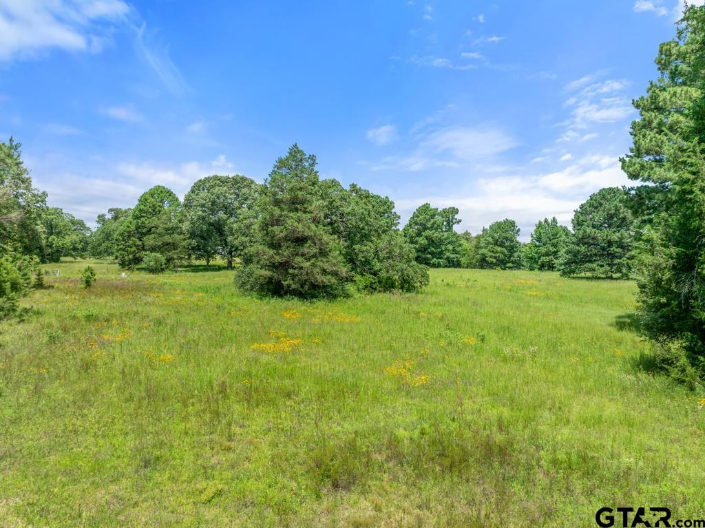 5353 County Road 385 Tyler, TX 75708 - Photo 18 of 28 a view of a field with plants and trees