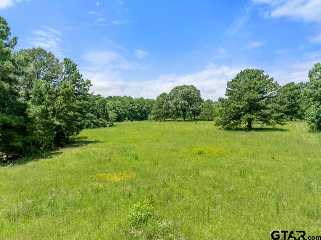 5353 County Road 385 Tyler, TX 75708 - Photo 19 of 28 a view of a green yard