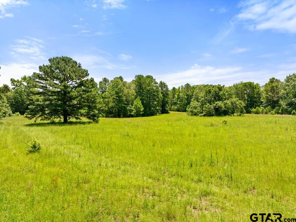 5353 County Road 385 Tyler, TX 75708 - Photo 20 of 28 a view of yard with swimming pool and green space
