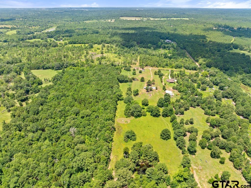 5353 County Road 385 Tyler, TX 75708 - Photo 2 of 28 a view of a garden with a lake