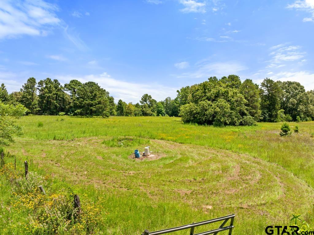 5353 County Road 385 Tyler, TX 75708 - Photo 21 of 28 a view of a garden with an ocean