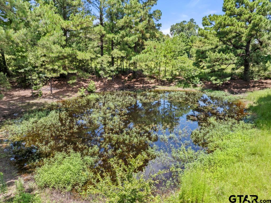 5353 County Road 385 Tyler, TX 75708 - Photo 22 of 28 a view of a lush green forest