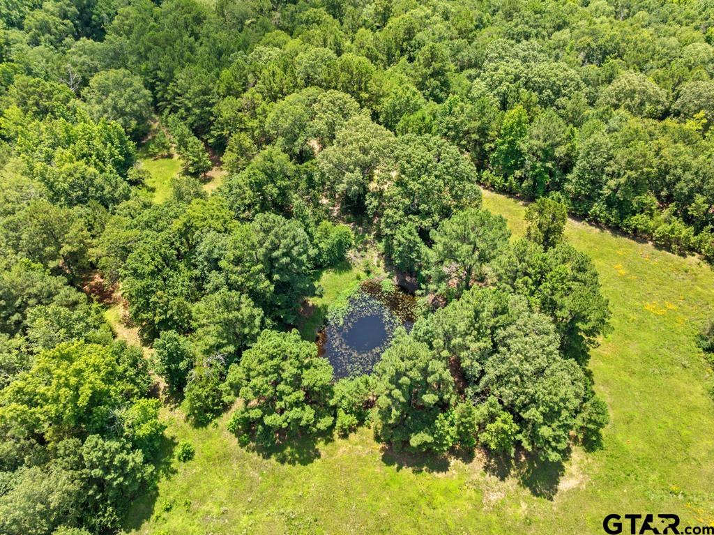 5353 County Road 385 Tyler, TX 75708 - Photo 23 of 28 a view of a garden with a plant