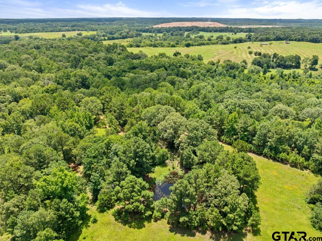 5353 County Road 385 Tyler, TX 75708 - Photo 24 of 28 a view of a field with a lush green forest
