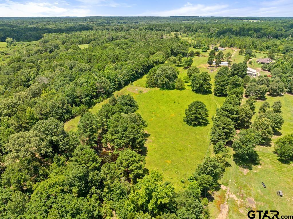 5353 County Road 385 Tyler, TX 75708 - Photo 25 of 28 a view of a large yard with lots of green space and plants