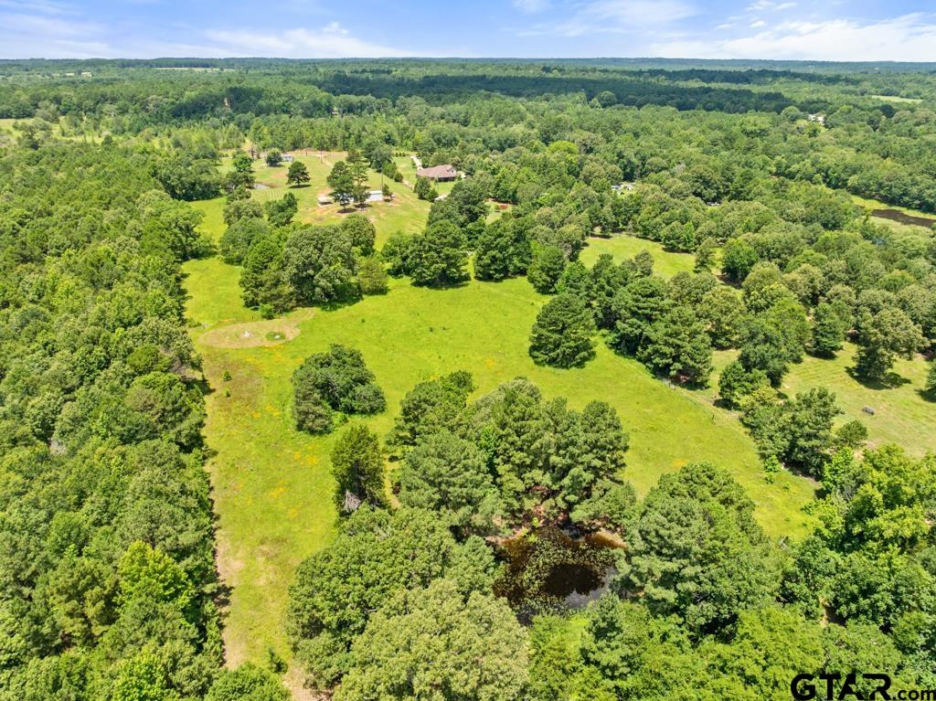 5353 County Road 385 Tyler, TX 75708 - Photo 26 of 28 a view of a green field