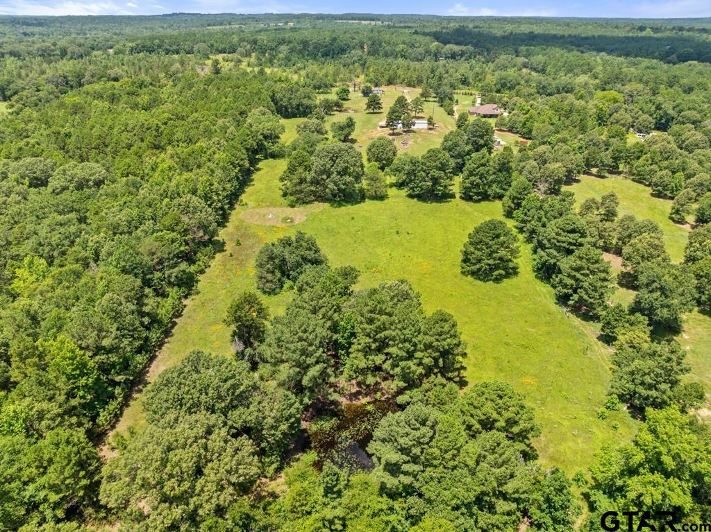 5353 County Road 385 Tyler, TX 75708 - Photo 27 of 28 a view of lake view