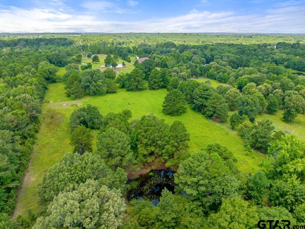 5353 County Road 385 Tyler, TX 75708 - Photo 4 of 28 a view of a green field with lots of plants in it