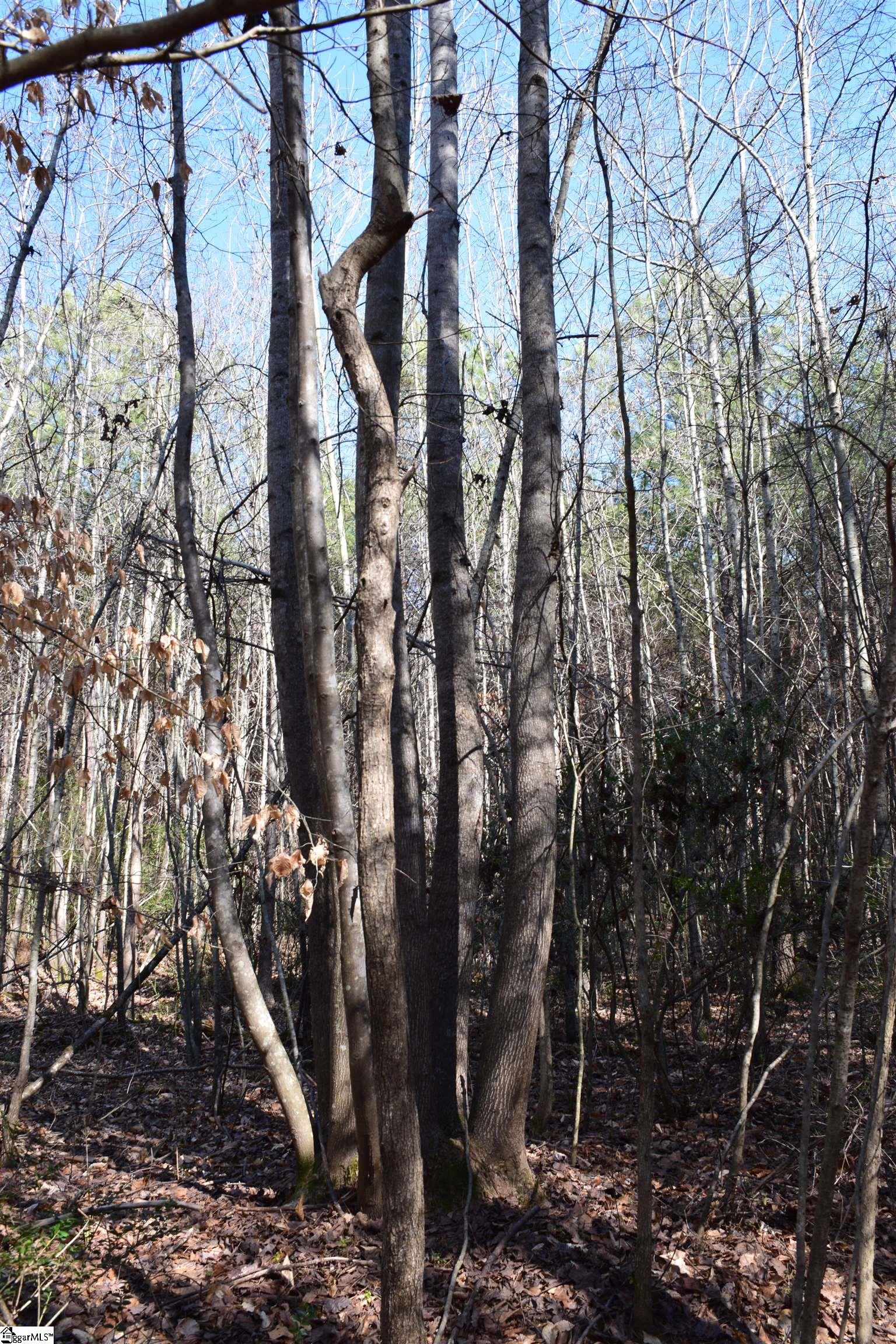 200 State Rd S-39-190 Pickens, SC 29671 - Photo 13 of 17 Gallery Image 13