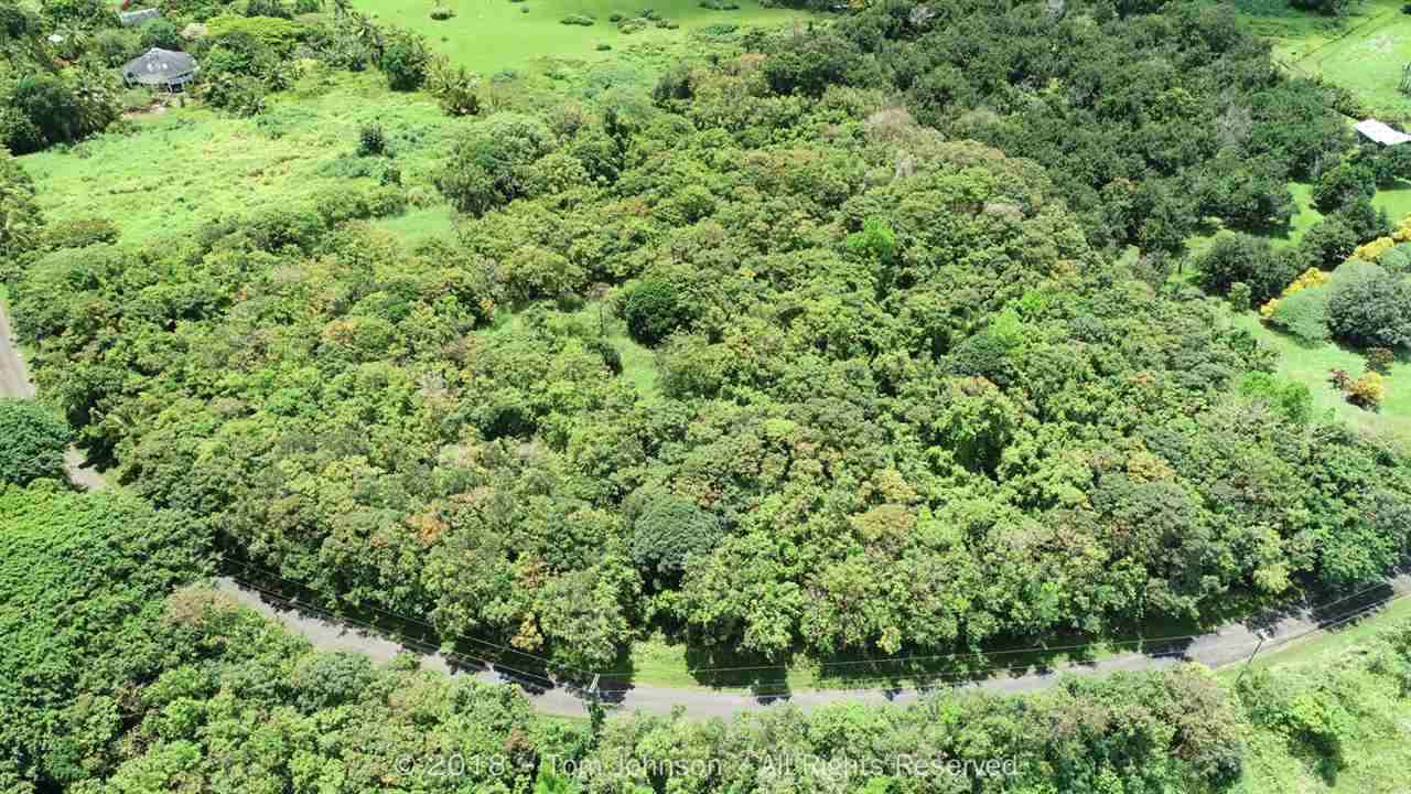 255 Uwala Road Hana, HI 96713 - Photo 3 of 17 a view of a lush green forest